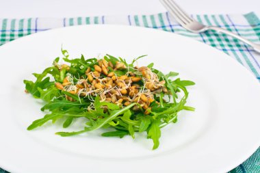 Roka Salatası ve çavdar fidan