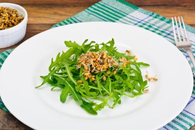 Roka Salatası ve çavdar fidan