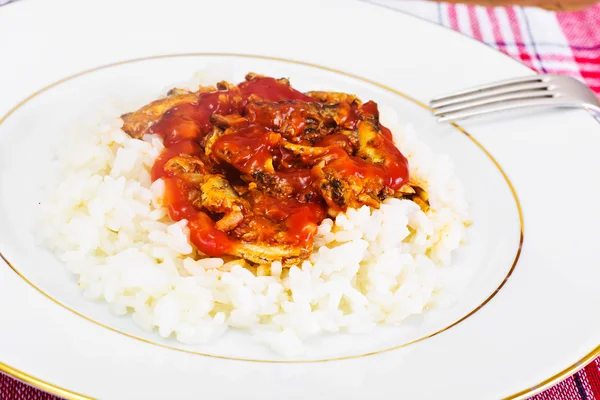 Arroz com peixe enlatado em molho de tomate — Fotografia de Stock