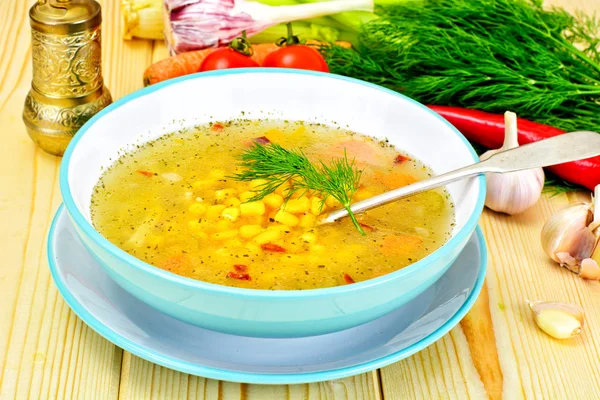 Sopa con caldo de pollo con fideos y verduras — Foto de Stock