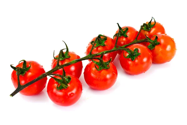 Červená rajčata izolované na bílém pozadí — Stock fotografie
