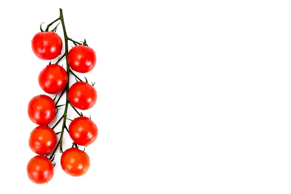 Rode tomaten geïsoleerd op een witte achtergrond — Stockfoto