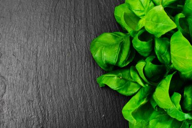 Yeşil taze fesleğen