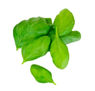 Taze yeşil fesleğen