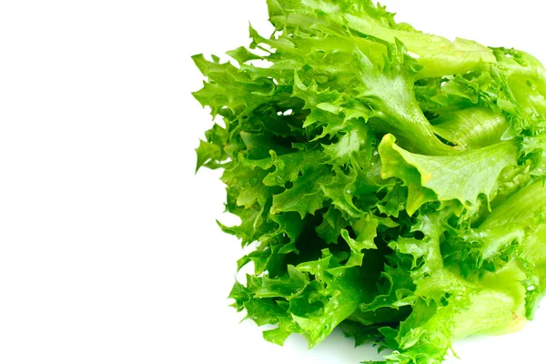 Grüner frischer Salat — Stockfoto