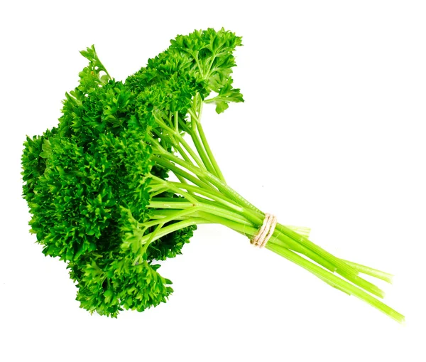 Fresh Green Parsley — Stock Photo, Image