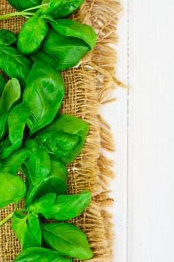 Basil beyaz Woody arka planda