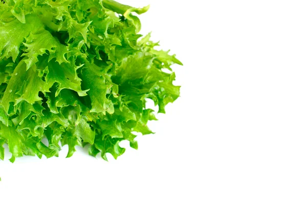 Grüner frischer Salat — Stockfoto