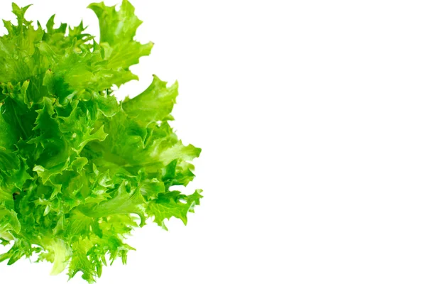 Grüner frischer Salat — Stockfoto