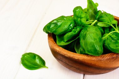 Basil beyaz Woody arka planda