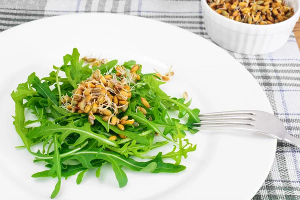 Salada de Arugula e mudas de centeio — Fotografia de Stock