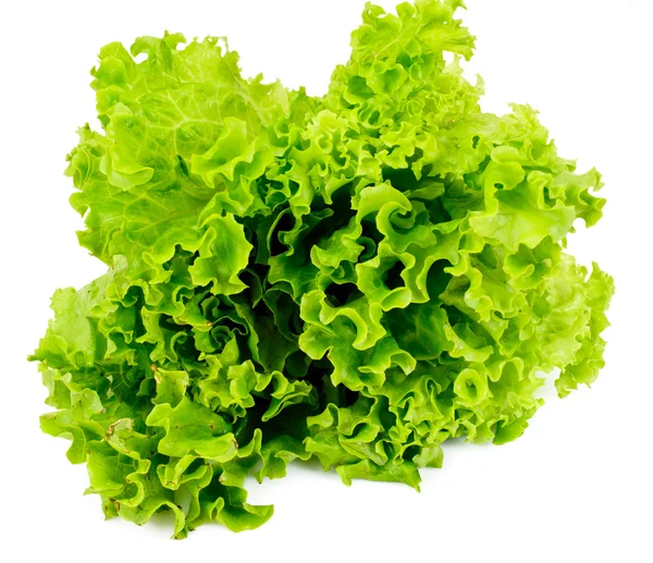 Grön färsk sallad — Stockfoto