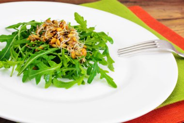 Roka Salatası ve çavdar fidan