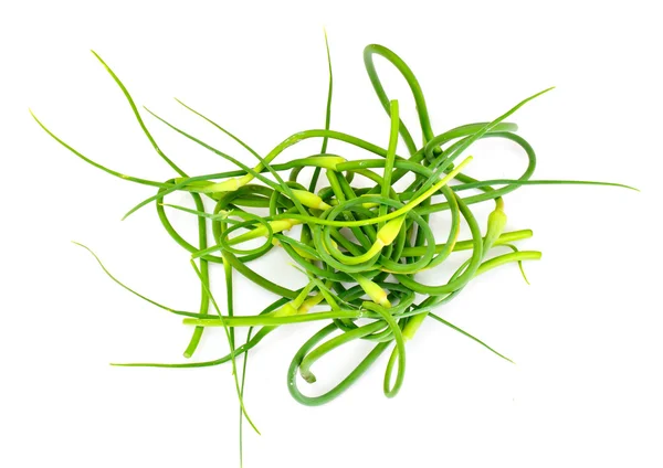 Green Stalks of Garlic — Stock Photo, Image