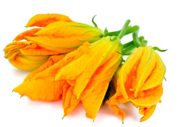 Kabak çiçekleri beyaz bir arka plan üzerinde