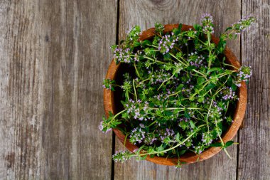 Çiçekleri ve sapları kekik