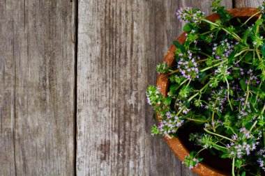 Çiçekleri ve sapları kekik