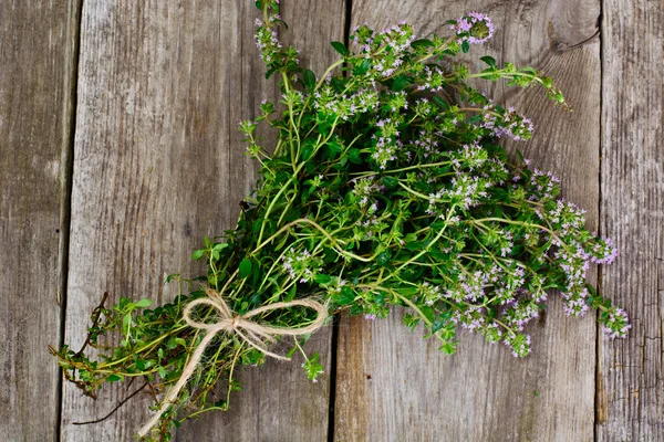 Blüten und Stiele von Thymian — Stockfoto