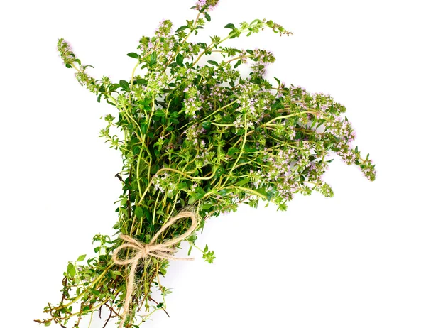 Flowers and Stems of Thyme — Stock Photo, Image