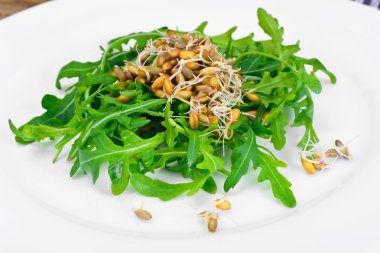 Roka Salatası ve çavdar fidan