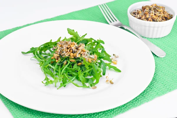 Ensalada de rúcula y plántulas de centeno — Foto de Stock