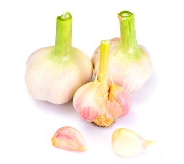 Beyaz arka planda genç bir sarımsak