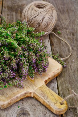 Çiçekleri ve sapları kekik