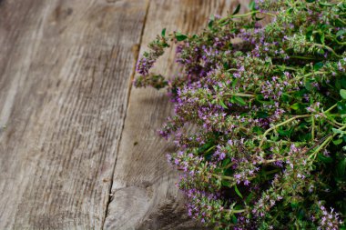 Çiçekleri ve sapları kekik