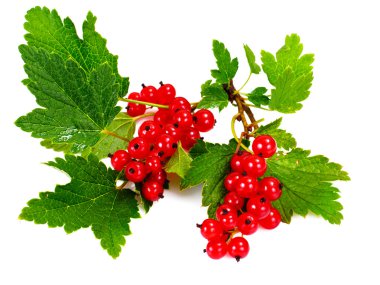 Beyaz üzümlü kırmızı üzümler