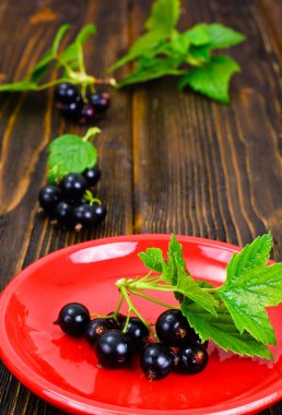 Taze sulu Blackcurrant