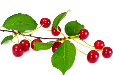 Beyaz arka plan üzerinde sulu Olgun Kiraz