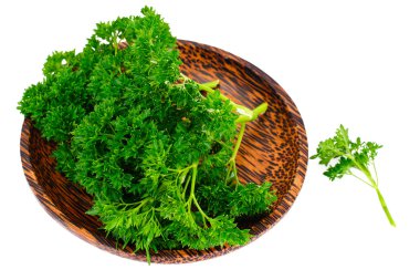 Beyaz arkaplanda maydanoz