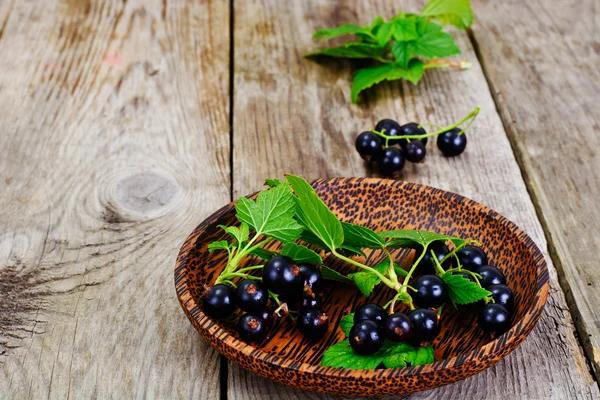 Taze sulu Blackcurrant