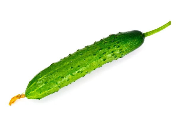 Castraveți proaspeți verzi izolați pe fundal alb — Fotografie, imagine de stoc