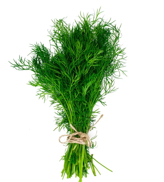 Frisse sappige Dill geïsoleerd op witte achtergrond — Stockfoto