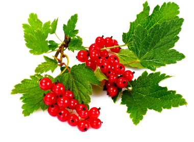 Beyaz üzümlü kırmızı üzümler