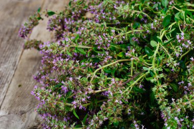 Çiçekleri ve sapları kekik