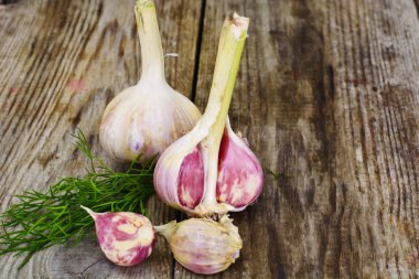 Tahta arka planda genç bir sarımsak