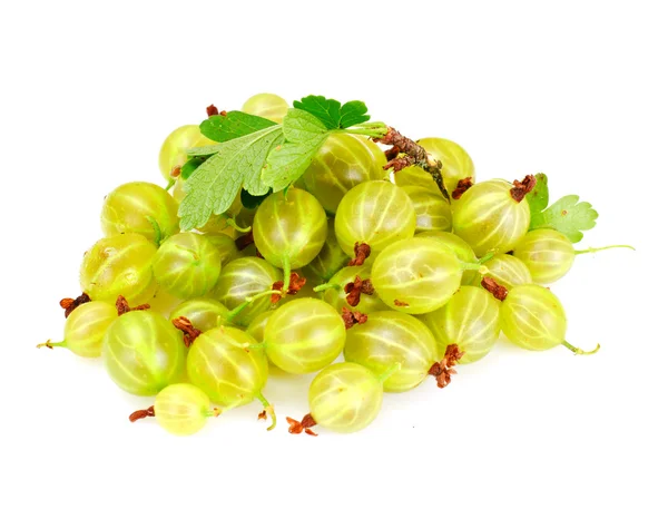 Maturare uva spina verde su sfondo bianco — Foto Stock