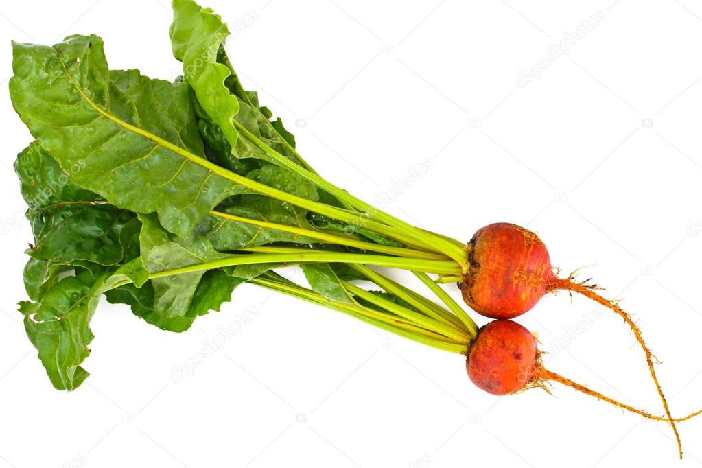 Fresh Raw Orange Beetroot, Beet — Stock Photo © ArtCookStudio 117925480