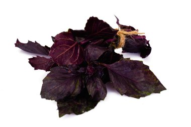 Fesleğen yaprakları beyaz arkaplanda izole