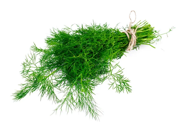 Frischer saftiger Dill isoliert auf weißem Hintergrund — Stockfoto