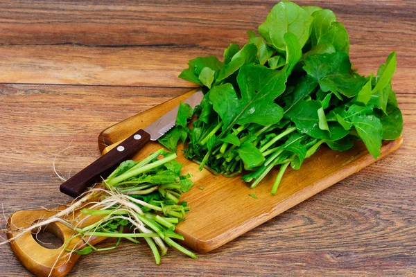 Fresh Green Arugula — Stock Photo, Image