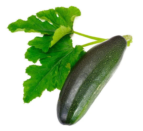 Frische grüne Zucchini auf weißem Hintergrund — Stockfoto