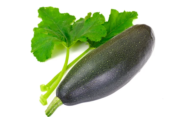 Frische grüne Zucchini auf weißem Hintergrund — Stockfoto