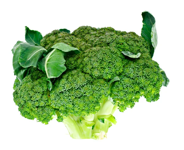 Brócoli verde jugoso fresco sobre fondo blanco — Foto de Stock