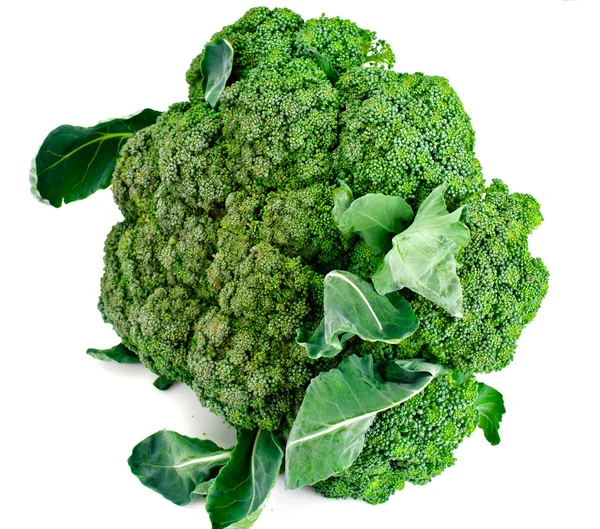 Świeże soczyste zielone brokuły na białym tle — Zdjęcie stockowe