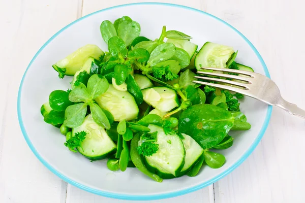Salat mit Gurken, Portulak und grünen Erbsen auf dunklen Scheiben — Stockfoto