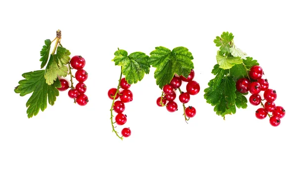 Rote Johannisbeeren isoliert auf weißen — Stockfoto