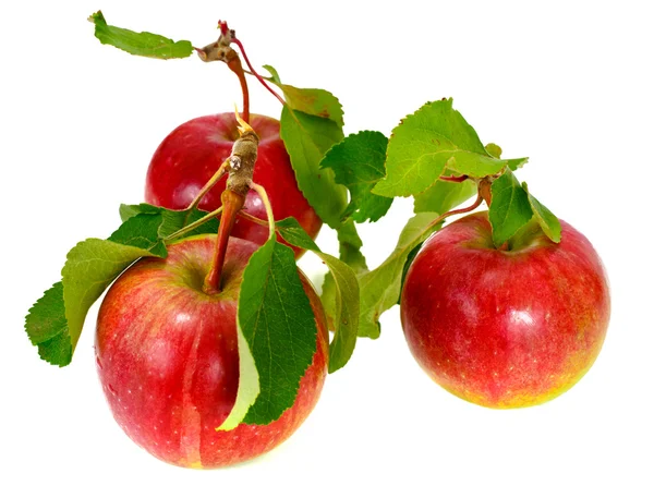 Pomme rouge fraîche et sucrée isolée sur fond blanc — Photo